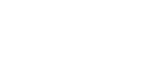 Personal Car Services